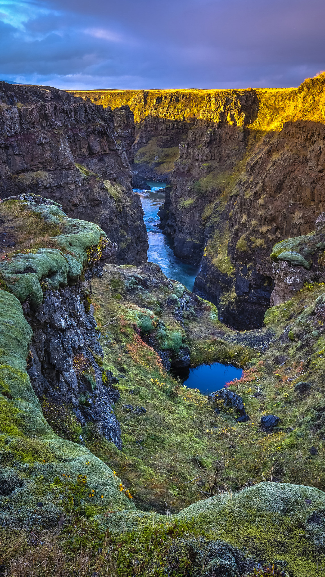 Images from both sides.